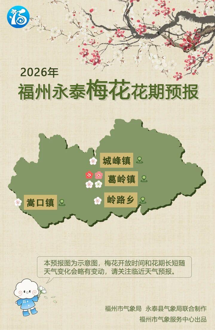 2026永泰梅花花期大揭秘！赏花秘籍速来get√