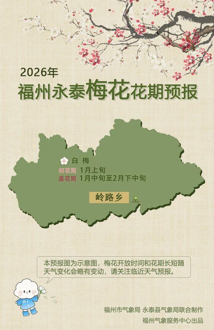 2026永泰梅花花期大揭秘！赏花秘籍速来get√
