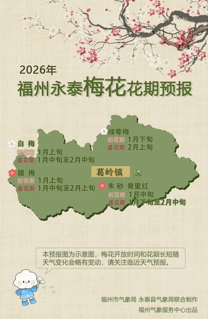 2026永泰梅花花期大揭秘！赏花秘籍速来get√