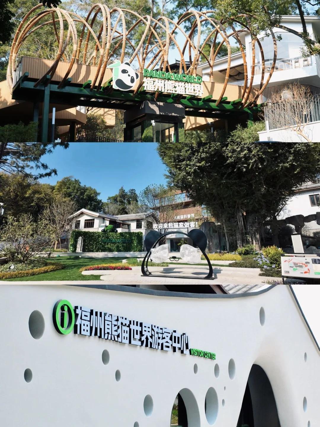 ​福州熊猫世界内部实景首次曝光！期待值拉满！