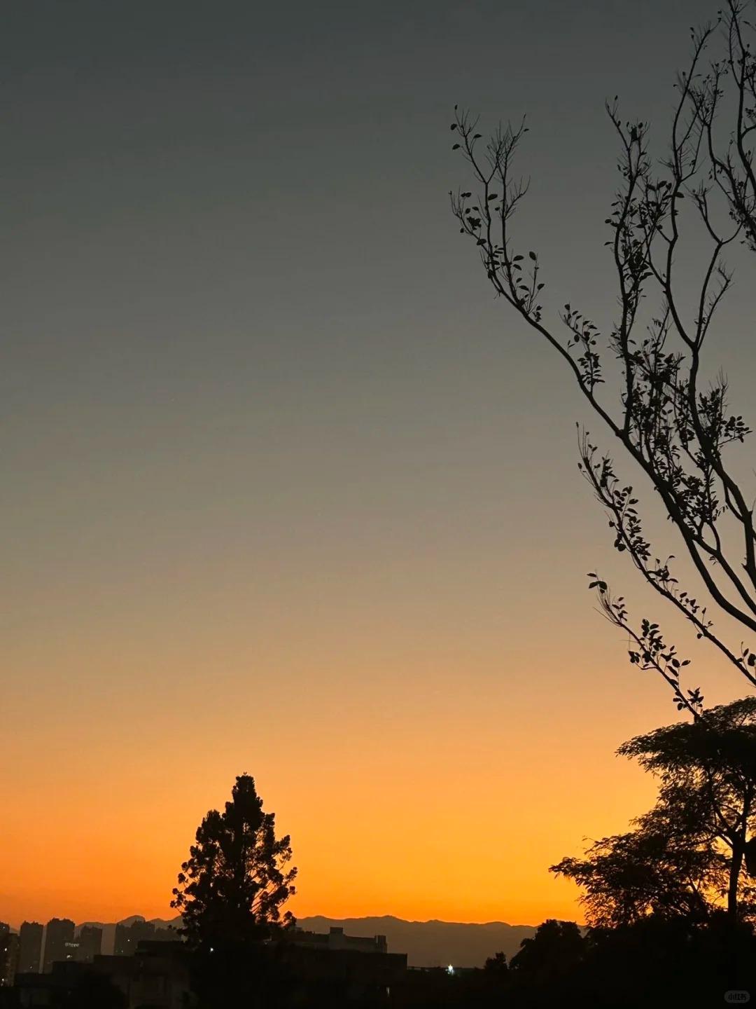 ​福州熊猫世界内部实景首次曝光！期待值拉满！