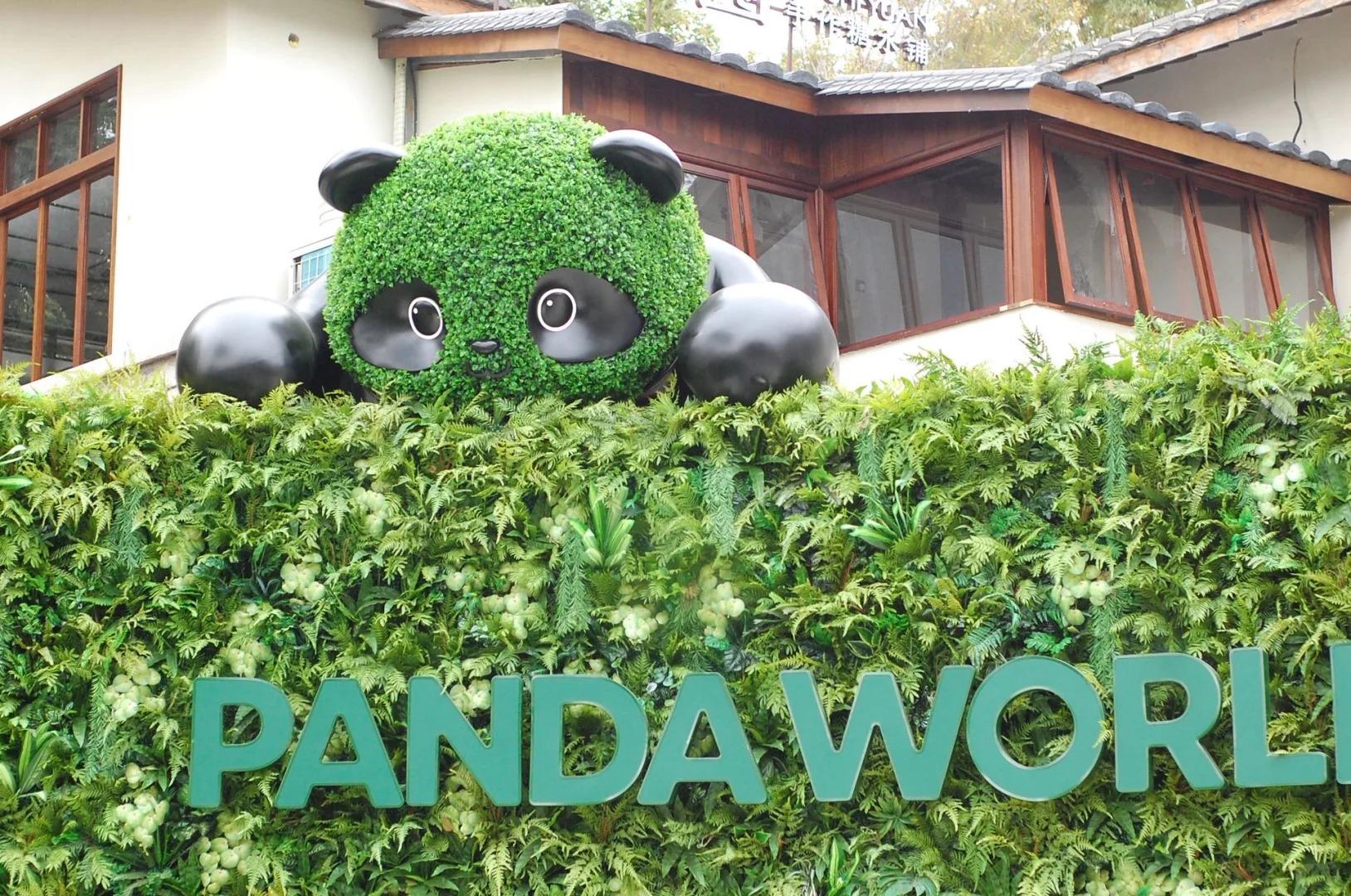 ​福州熊猫世界内部实景首次曝光！期待值拉满！