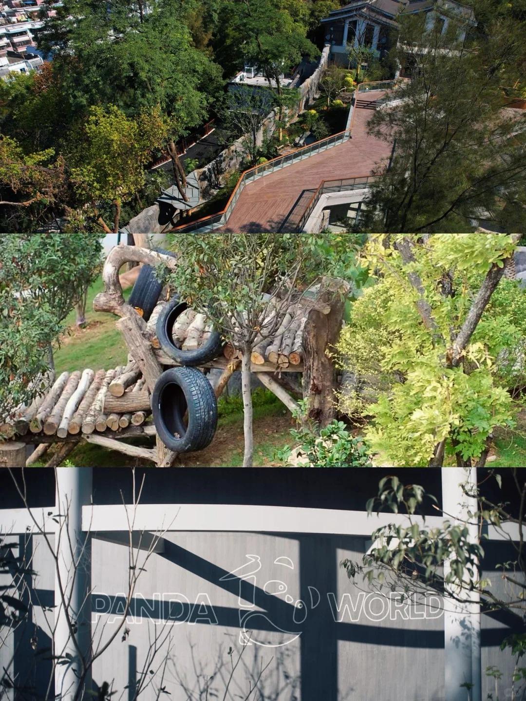 ​福州熊猫世界内部实景首次曝光！期待值拉满！