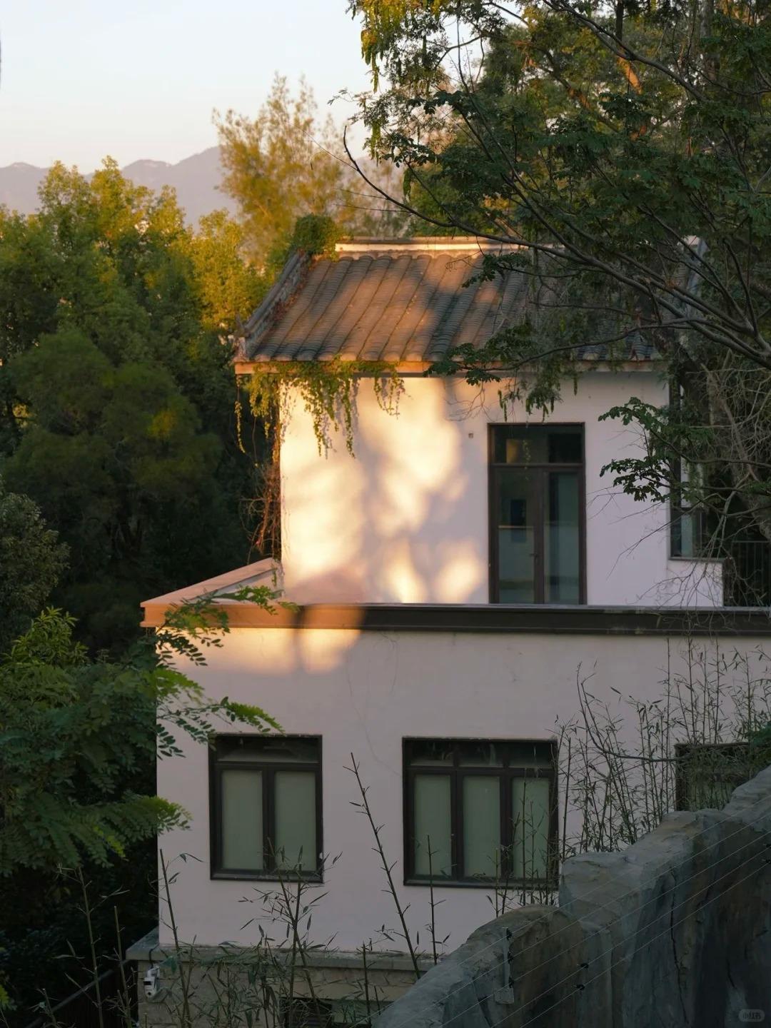 ​福州熊猫世界内部实景首次曝光！期待值拉满！