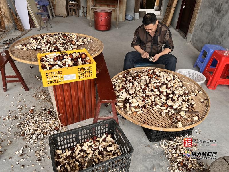 县在发生｜2026年，福州区县“上新”了！