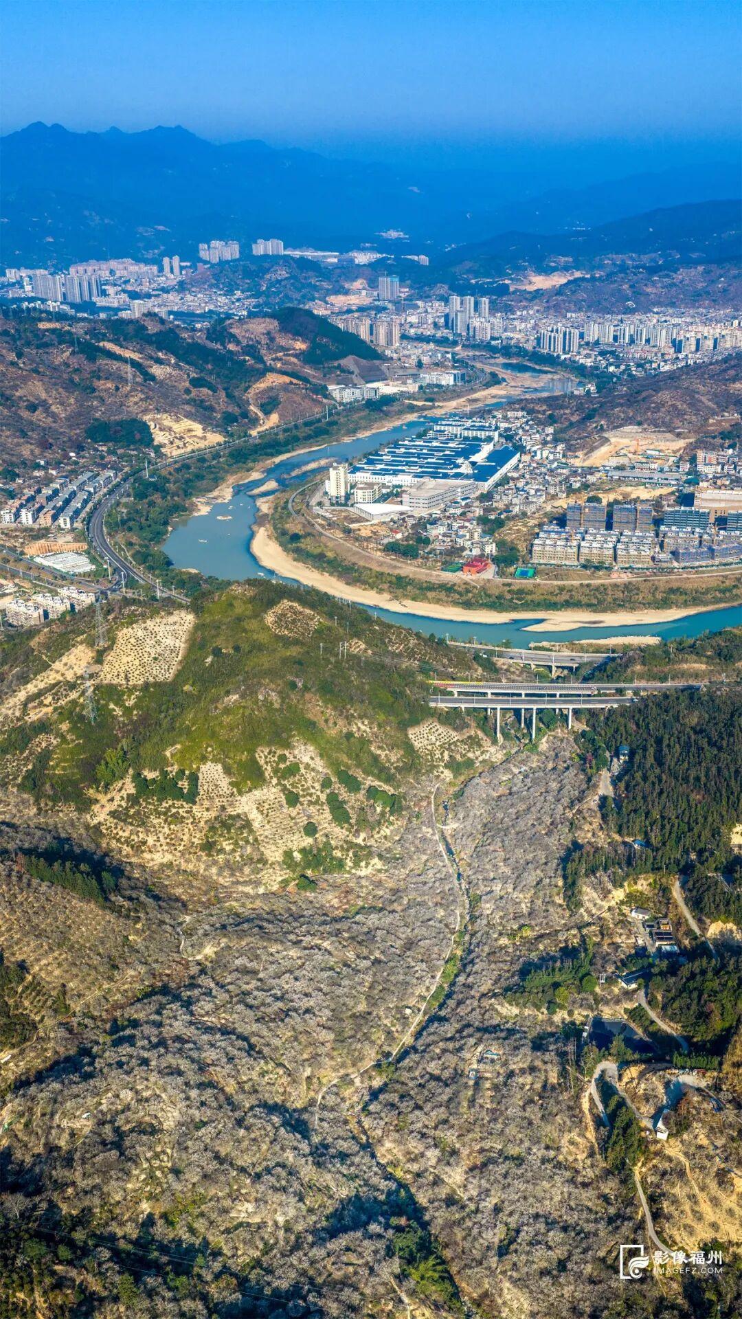 福州迎来梅花季！解锁水上赏梅新玩法