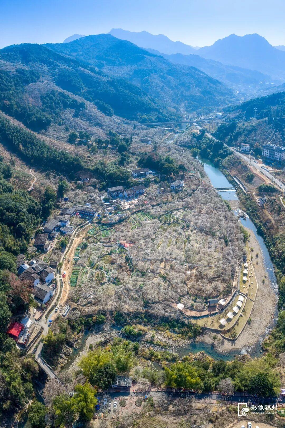 福州迎来梅花季！解锁水上赏梅新玩法