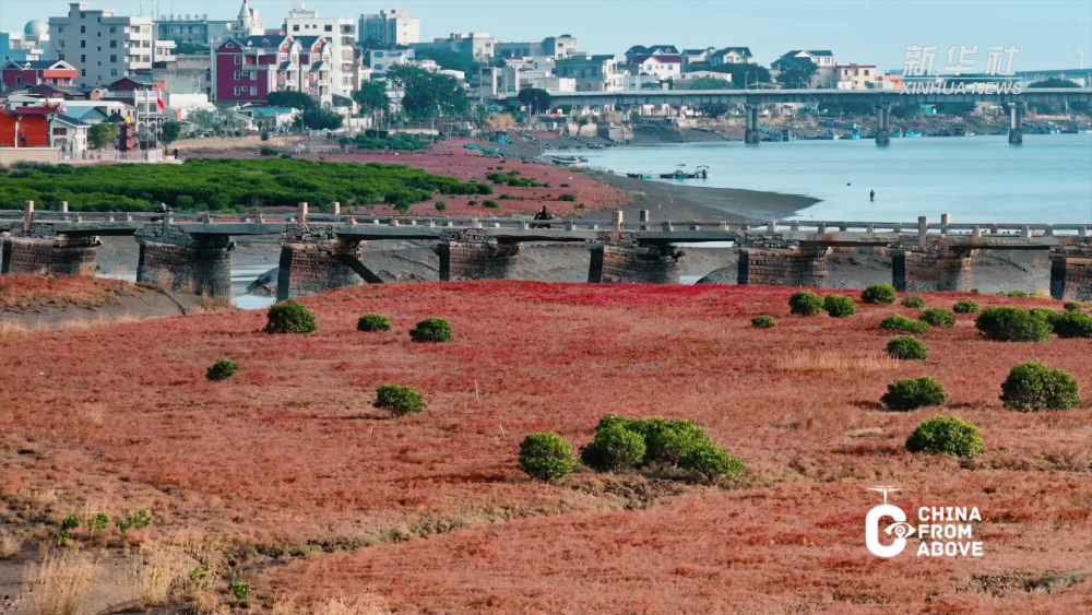 瞰中国｜福建福清：红滩映古桥