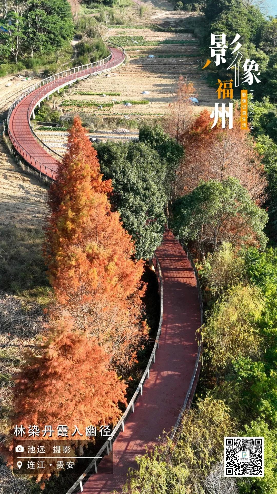 影像福州丨林染丹霞入幽径