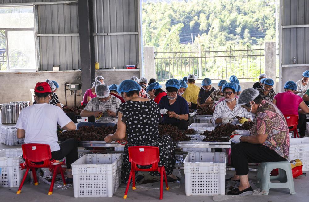 习近平总书记关切事·嘱托｜生态守护者的绿色画卷