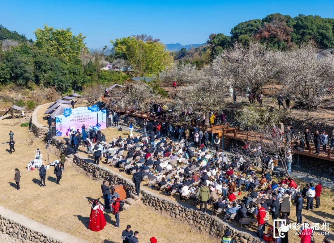 赏花季启动！福州这里“香雪海”等你来！