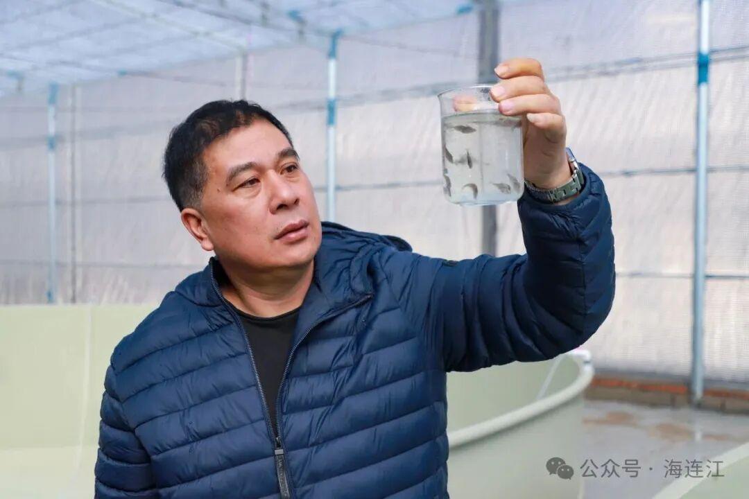 川渝火锅的“抢手货”，被福州渔民养出来啦！