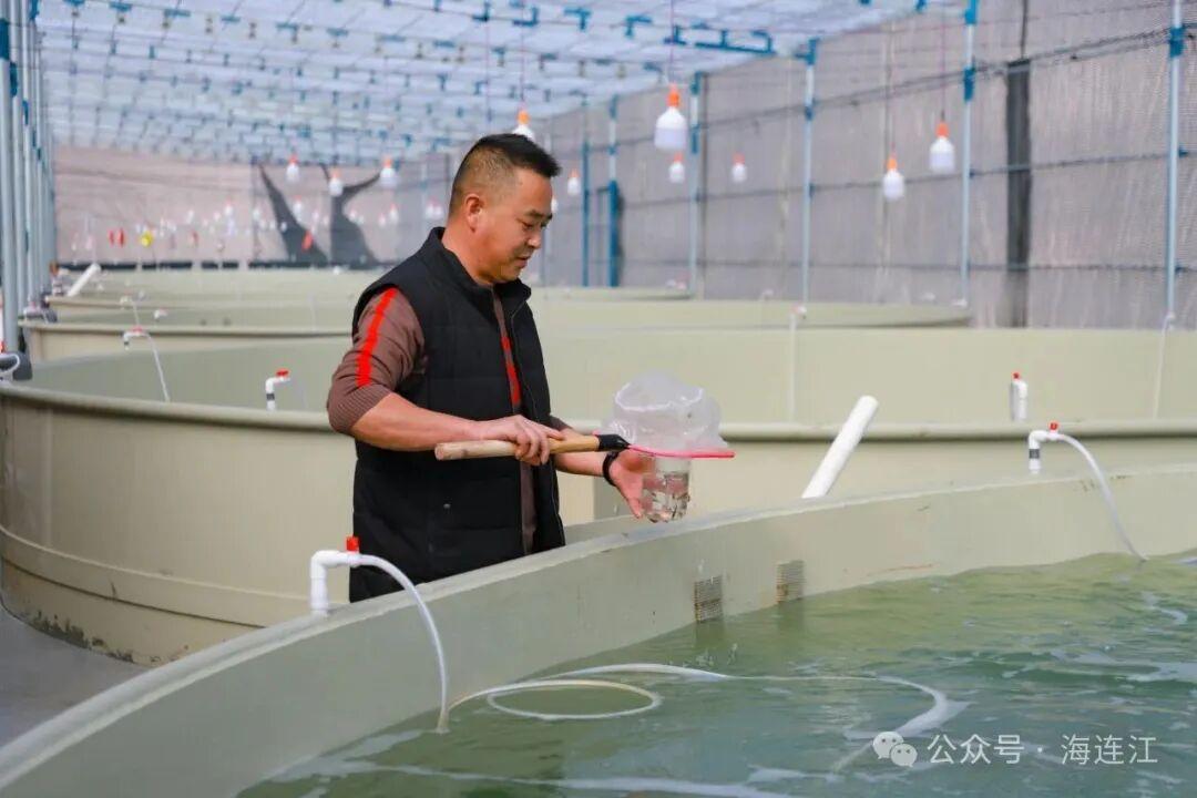 川渝火锅的“抢手货”，被福州渔民养出来啦！