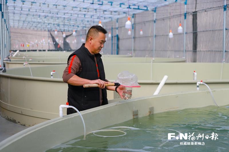 福州乡村奏响冬日“富民曲”