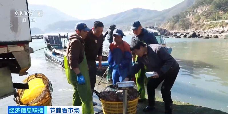央视关注：福建连江20多万只章鱼陆续上市 深受市场青睐