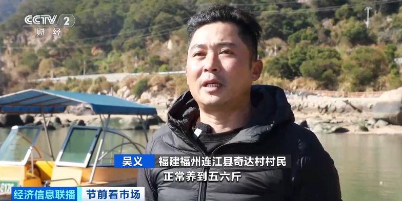 央视关注：福建连江20多万只章鱼陆续上市 深受市场青睐