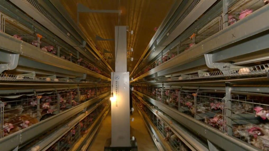 新华社关注：创新驱动 场景赋能 福州机器人产业加速升级