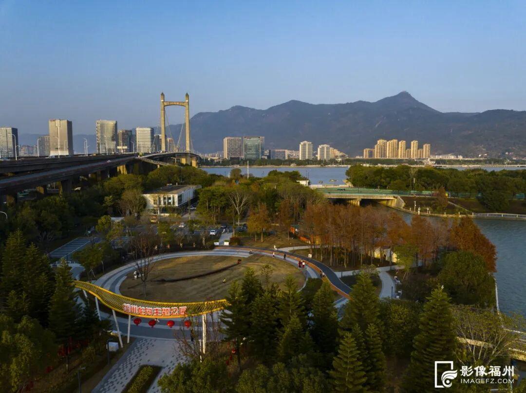 今年首次呈现！龙舟主题公园迎来水杉红