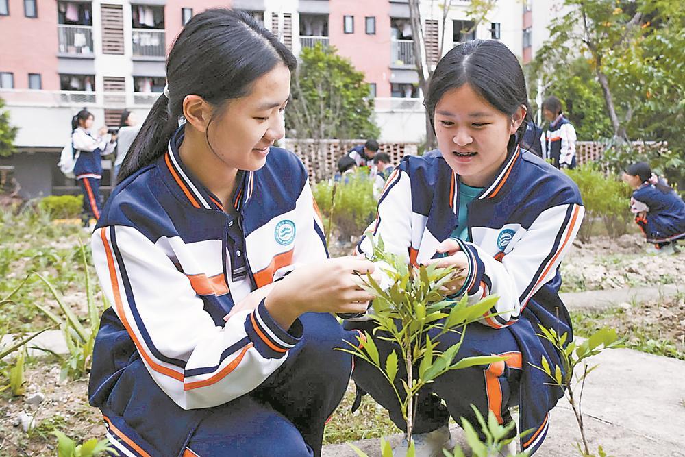 福建：县中振兴的共生之路