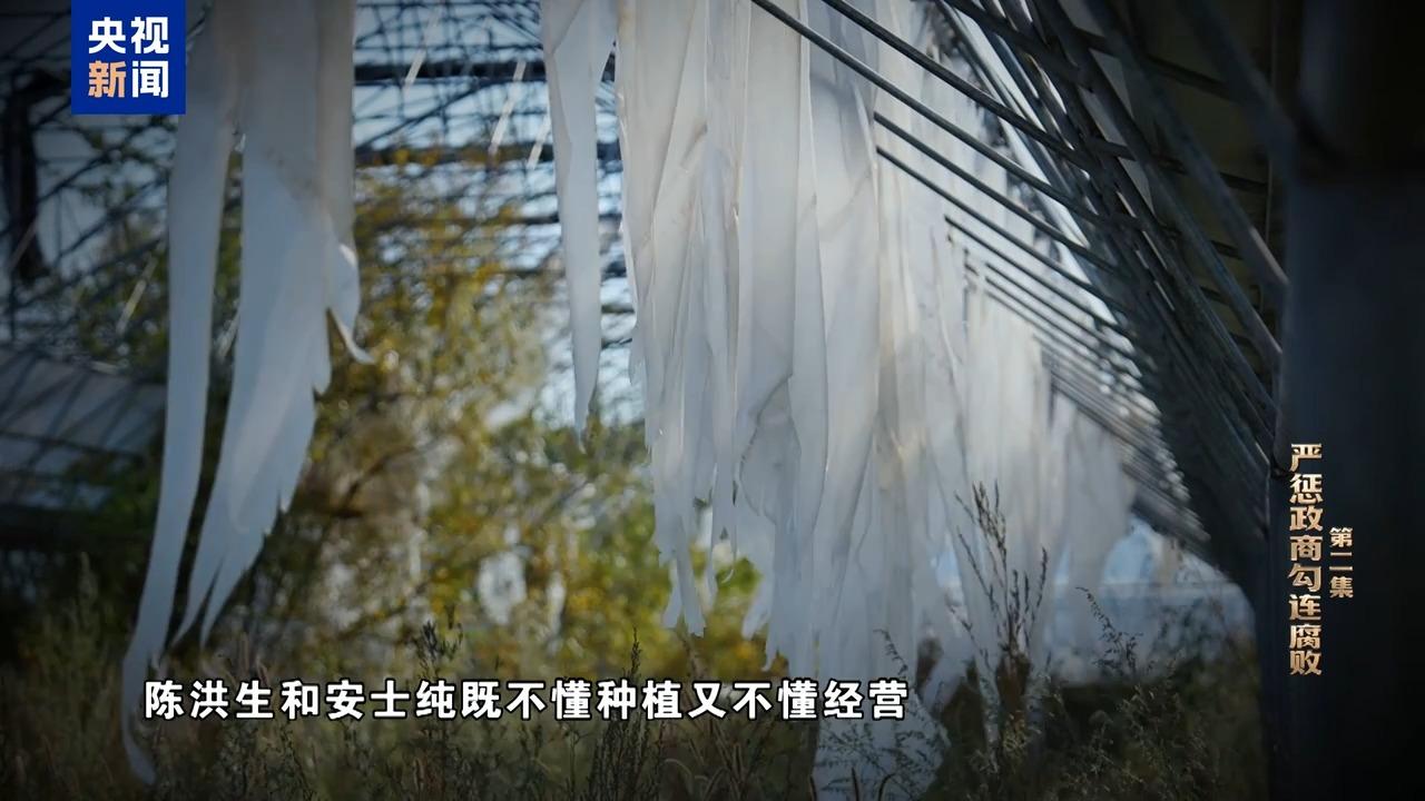 视频丨严惩政商勾连腐败!年度反腐大片播出第二集 视频丨严惩政商勾连腐败!年度反腐大片播出第二集