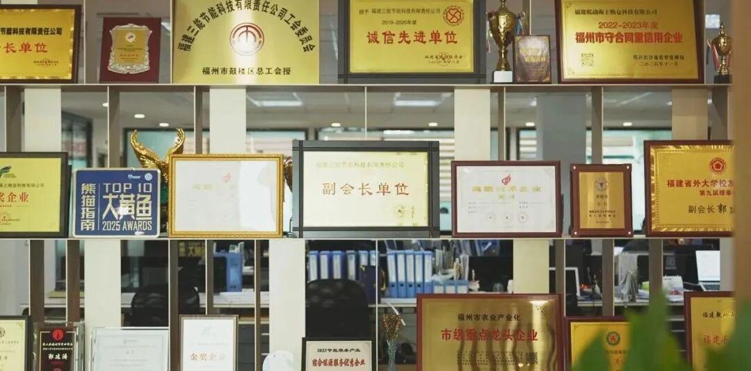 探秘福州高新区海上粮仓：乾动让大黄鱼住进“深海豪宅”