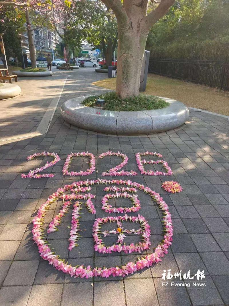 福州保安大叔巧手拼摆落花之美 吸引许多游客前来打卡拍照