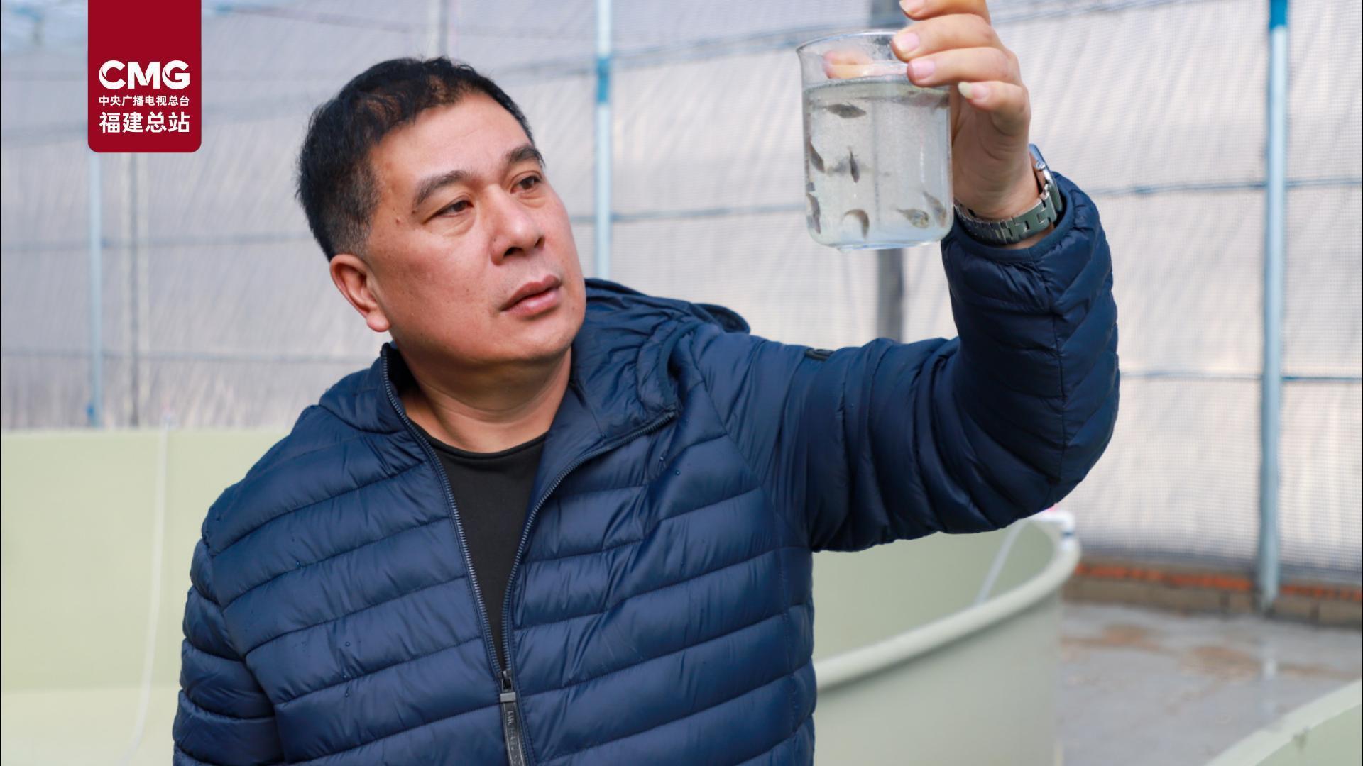 打破地域限制 连江3万尾绿鳍马面鲀自主育苗首战成功