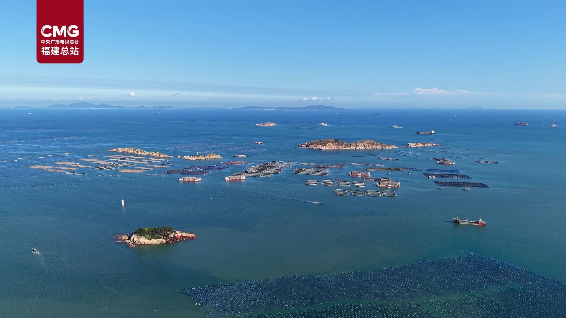 打破地域限制 连江3万尾绿鳍马面鲀自主育苗首战成功