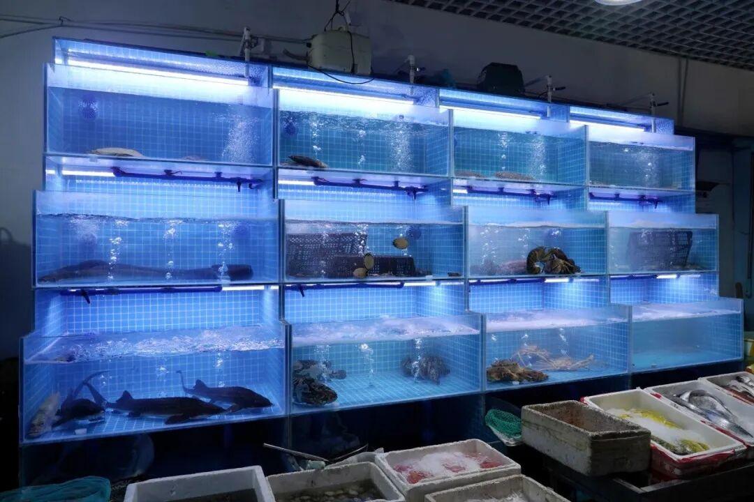 福州⇌奇台航空货运基础运价全免! 福州⇌奇台航空货运基础运价全免!