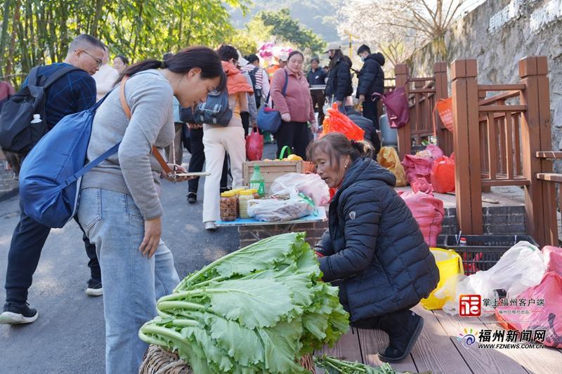 县在发生｜一朵花=10亿产业！永泰梅花的“致富密码”藏不住了