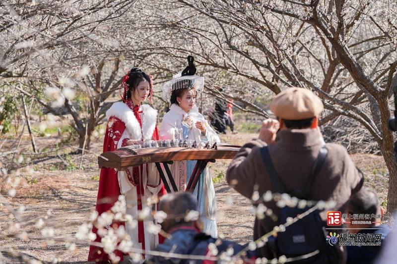 县在发生｜一朵花=10亿产业！永泰梅花的“致富密码”藏不住了