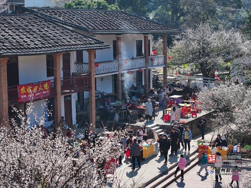 县在发生｜一朵花=10亿产业！永泰梅花的“致富密码”藏不住了