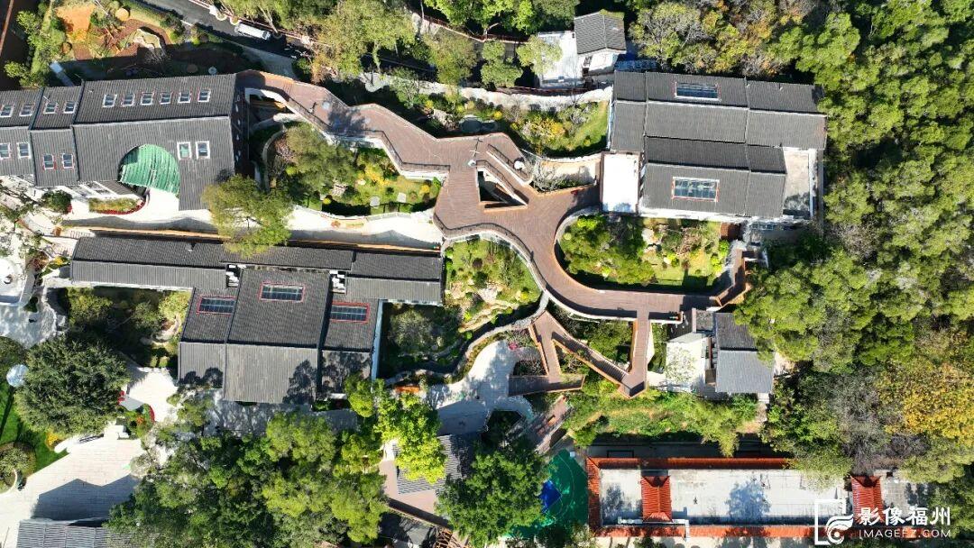 新旧图曝光！福州大熊猫等你见面！