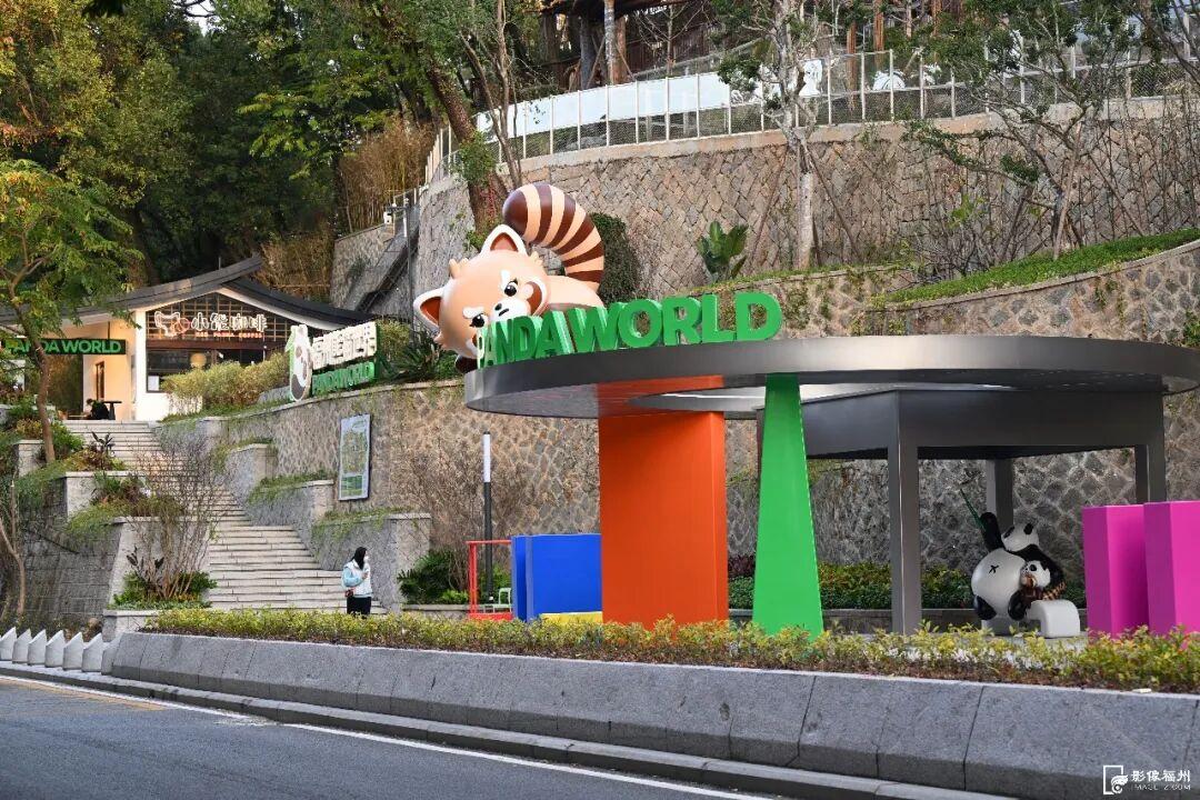 新旧图曝光！福州大熊猫等你见面！