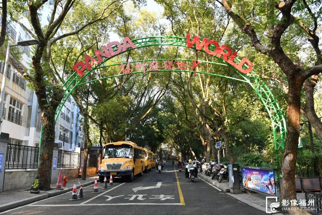 新旧图曝光！福州大熊猫等你见面！