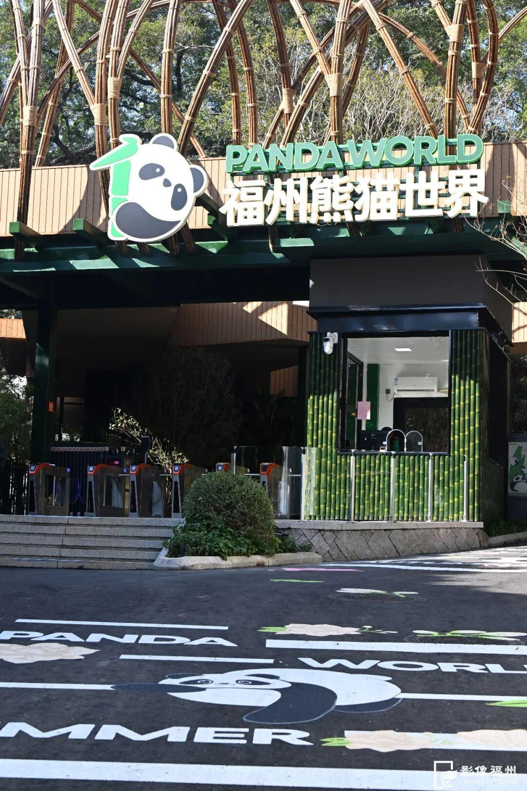 新旧图曝光！福州大熊猫等你见面！