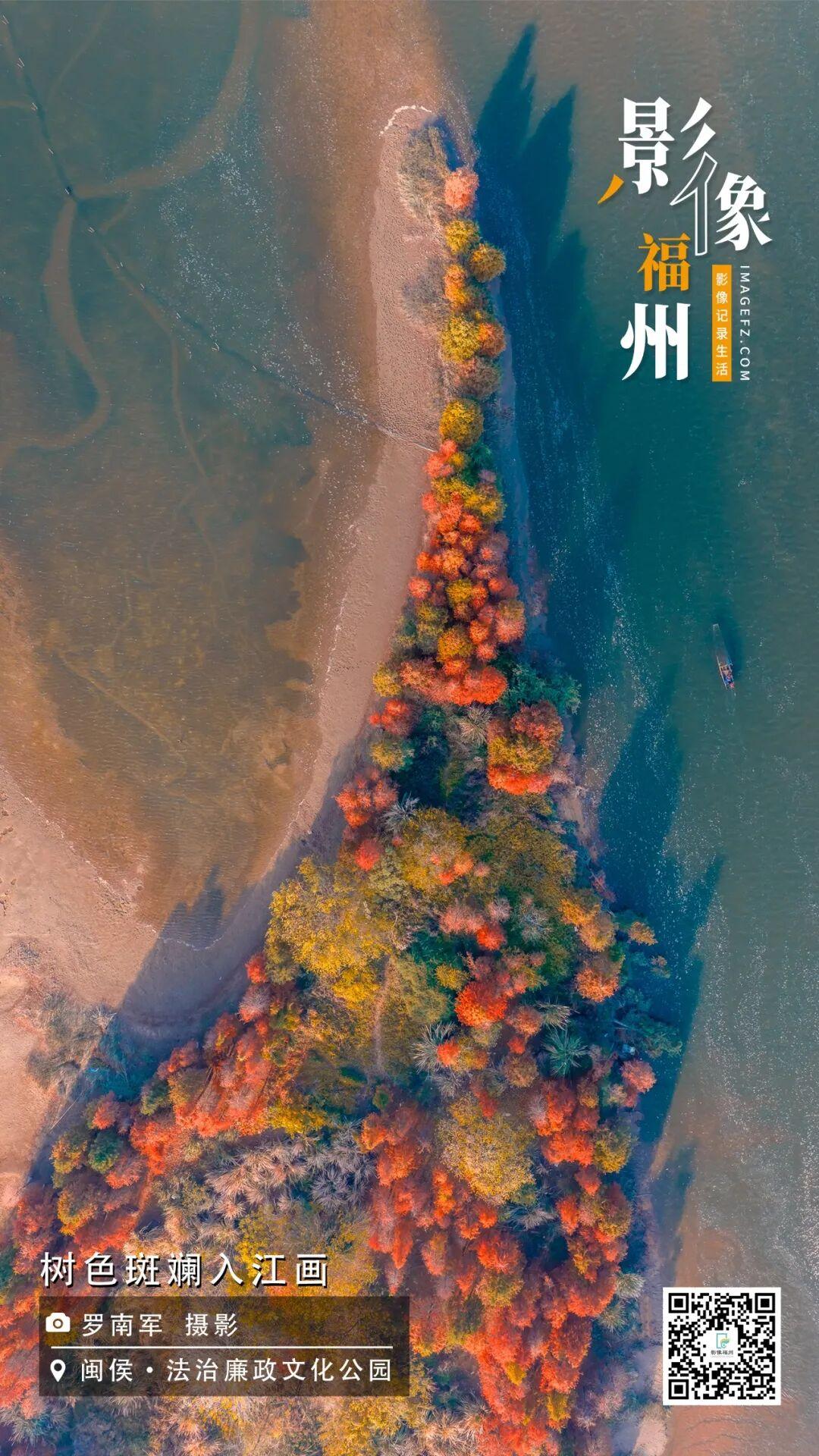 影像福州丨树色斑斓入江画