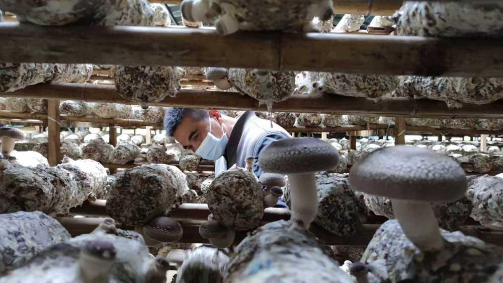 福州：敖江清流滋养“绿富共赢”新图景