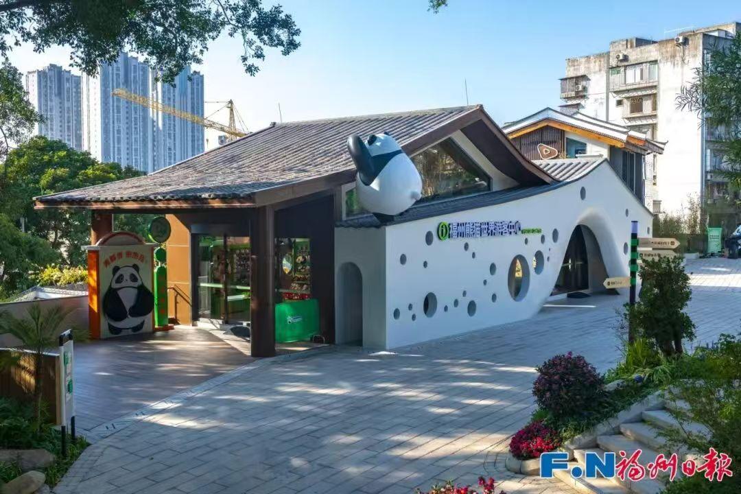 新晋顶流！福州熊猫世界开园 软萌暴击来袭！