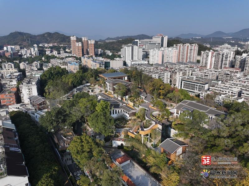 新晋顶流！福州熊猫世界开园 软萌暴击来袭！