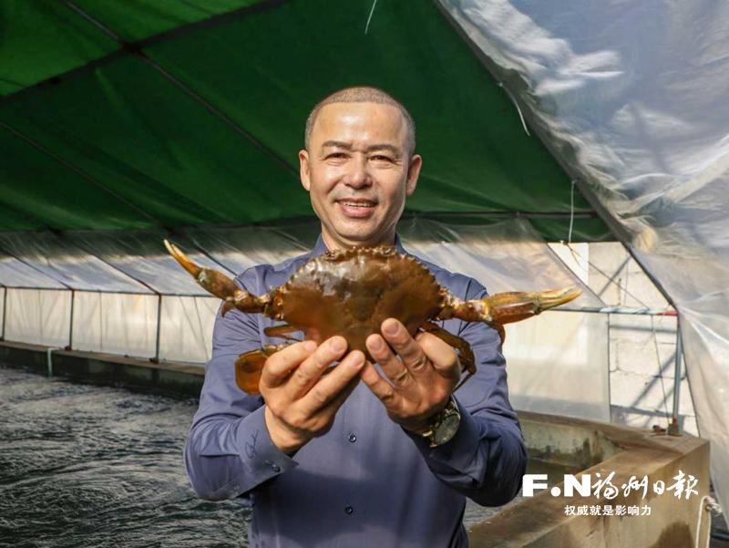 连江青蟹如何“爬”上全国餐桌