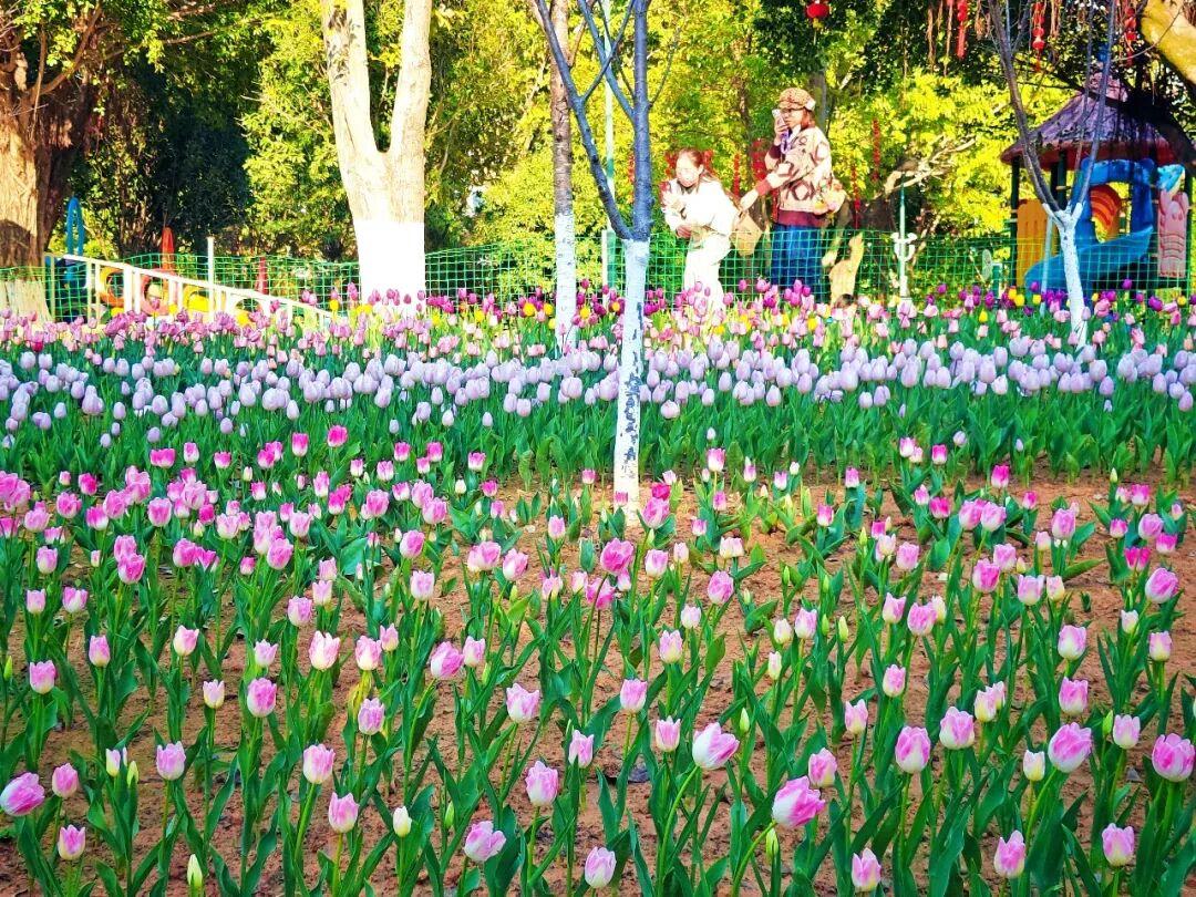 开了！开了！福州一公园上新！就在这里→