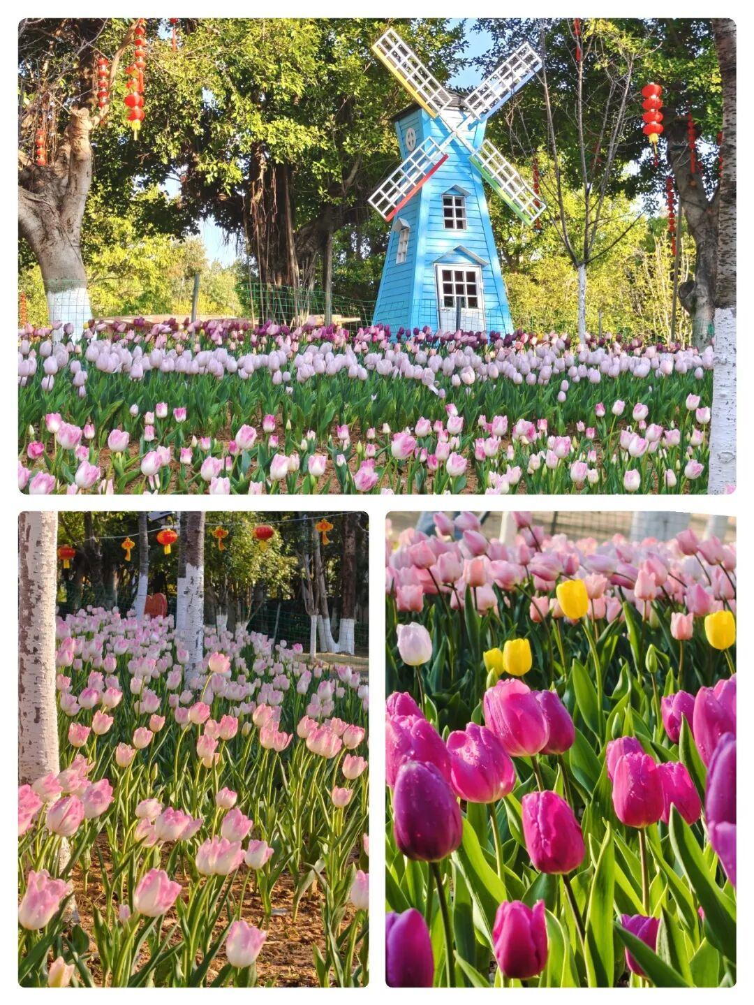 开了！开了！福州一公园上新！就在这里→