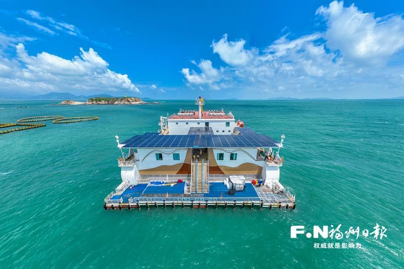 喜迎2026年福州市两会｜市数据管理局：乘“峰”起新潮　加“数”向未来