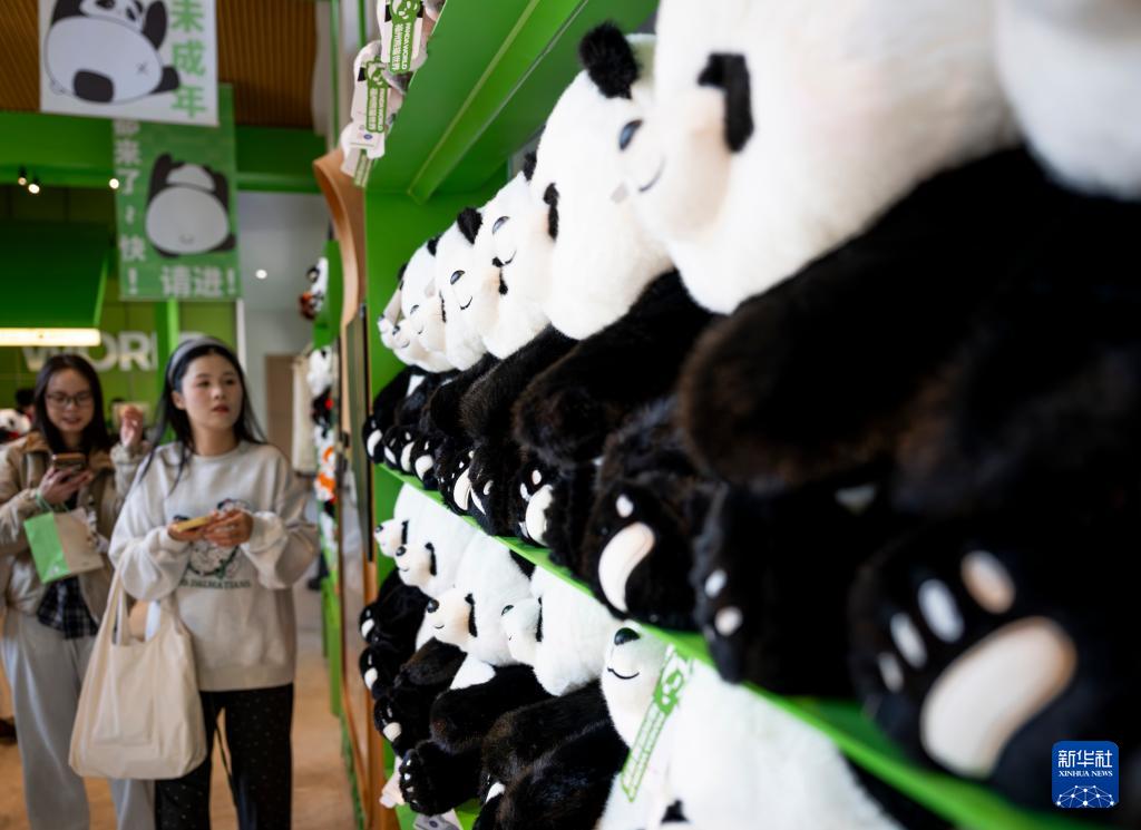新华社关注：国宝大熊猫福州安新家