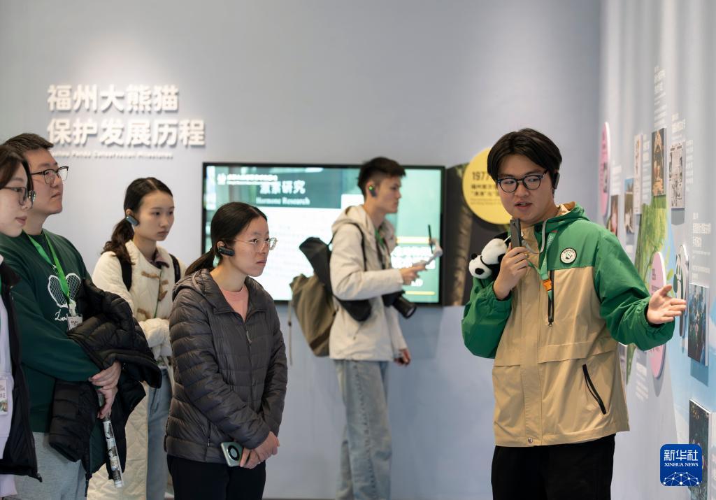 新华社关注：国宝大熊猫福州安新家