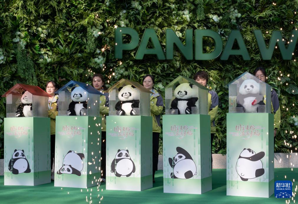 新华社关注：国宝大熊猫福州安新家