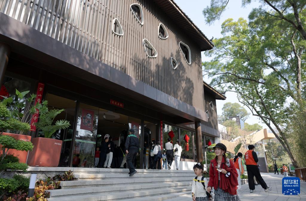 新华社关注：国宝大熊猫福州安新家