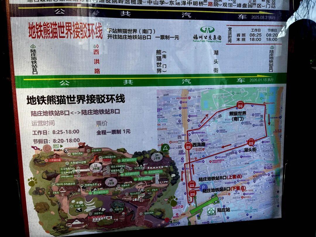 1元！萌系公交正式上线！直达福州熊猫世界！