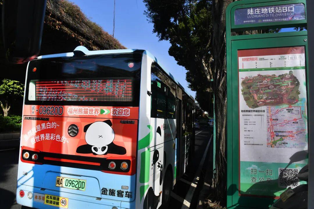 1元！萌系公交正式上线！直达福州熊猫世界！